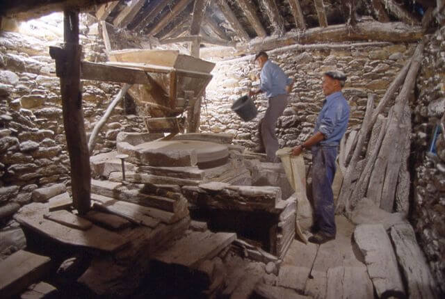 A moler el trigo en el molino  del Cura