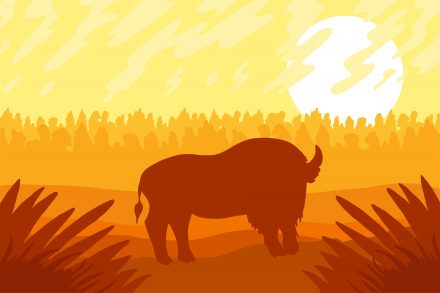 Landscape with wild bizon on field 01 scaled