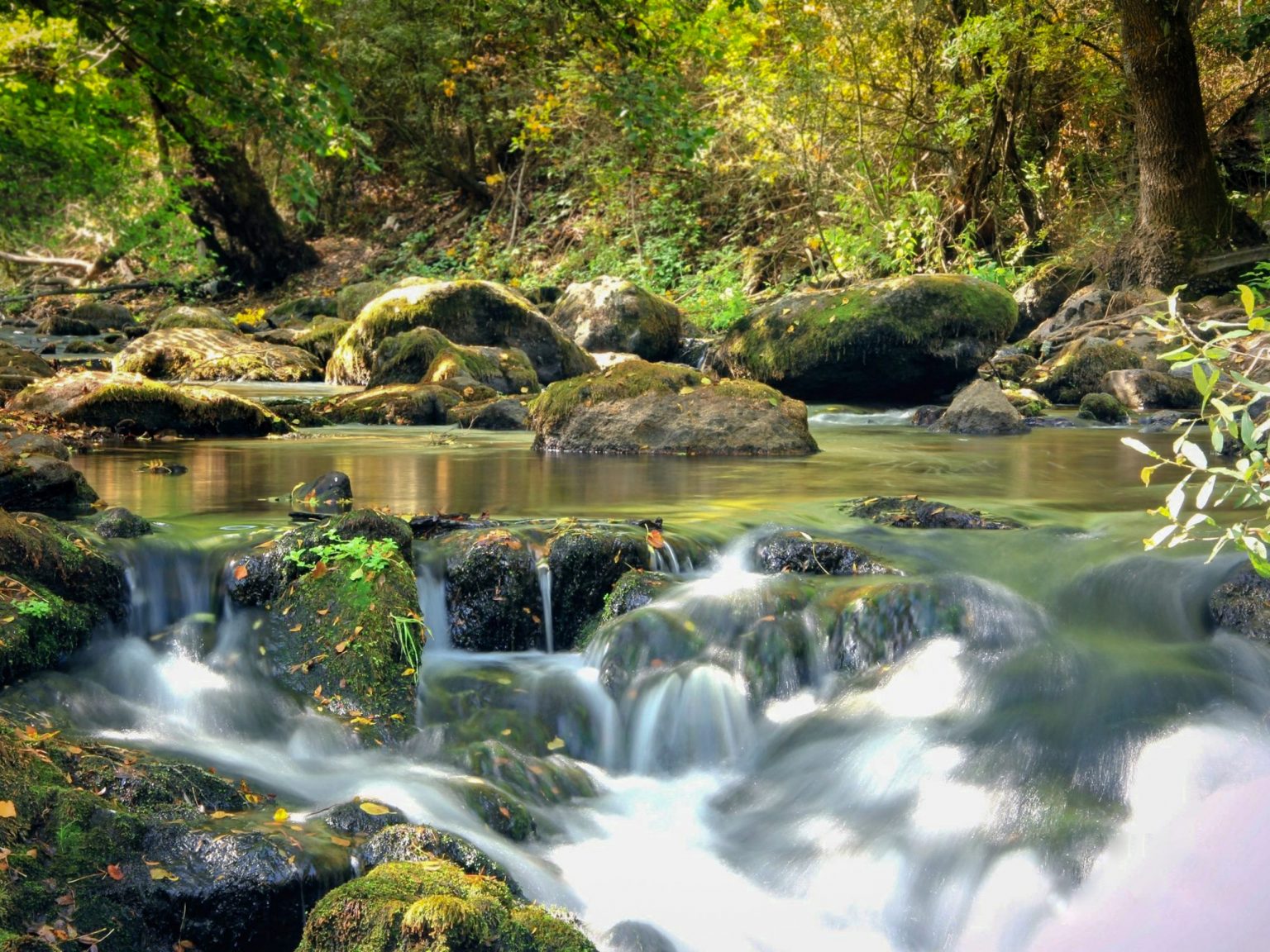 El río Cega, mucho mas que un río