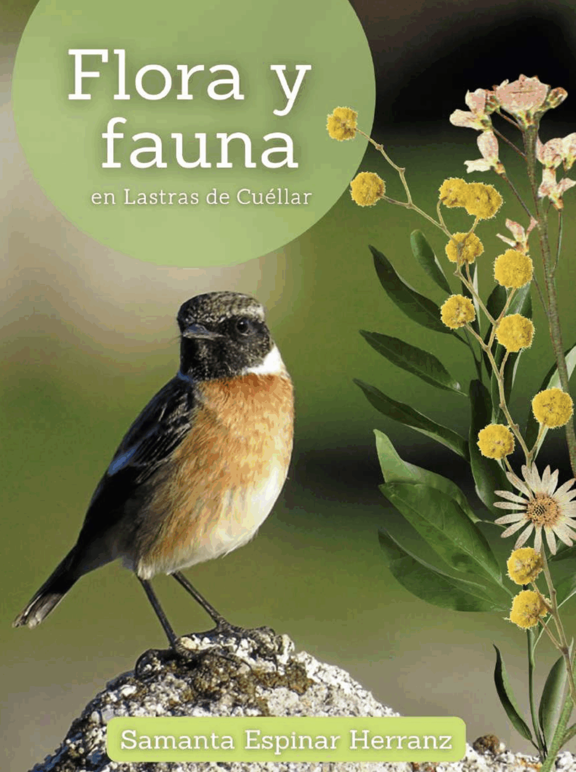 flora y fauna de lastras de cuellar