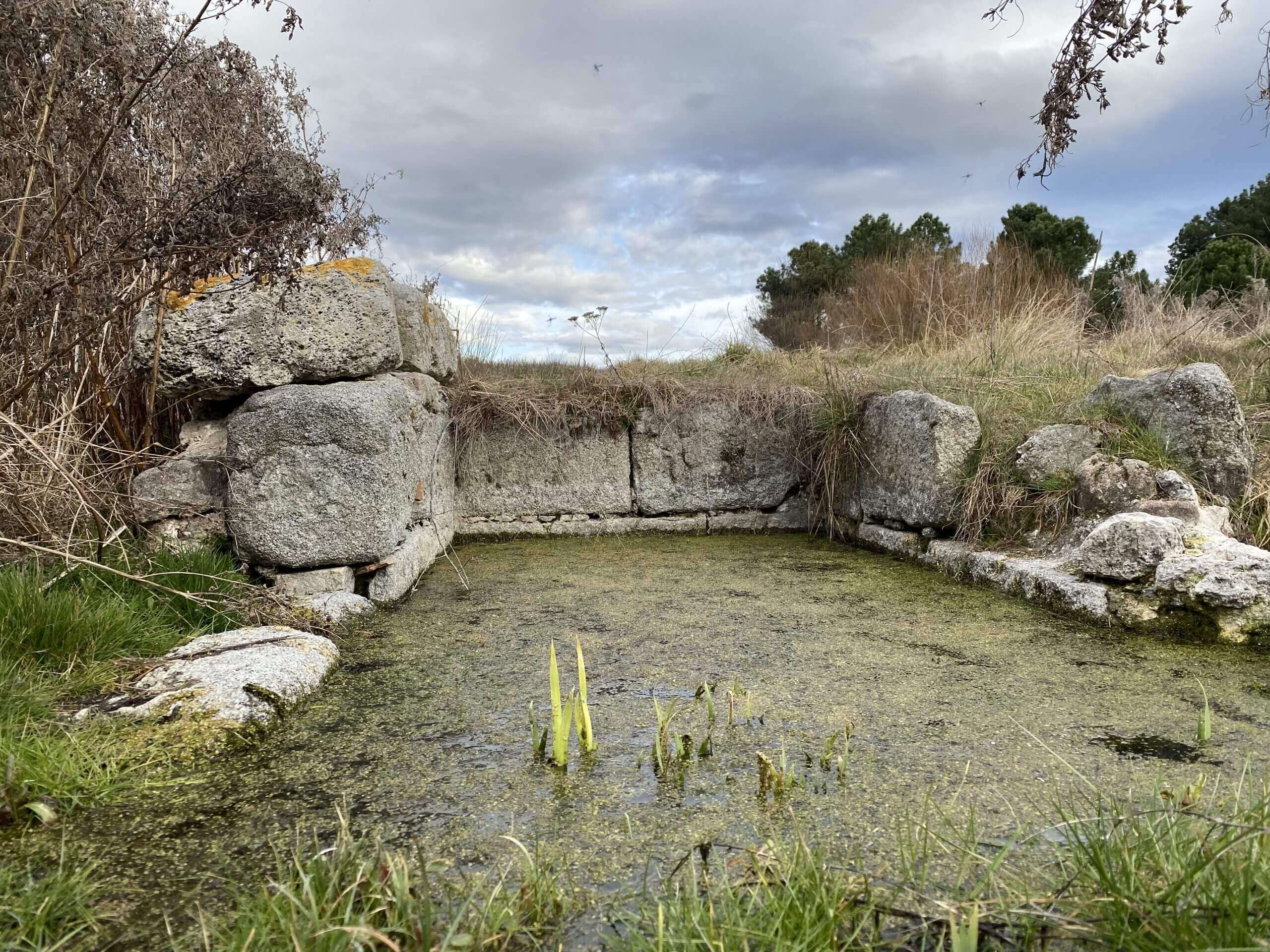 fuente de san esteban lastras de cuellar scaled