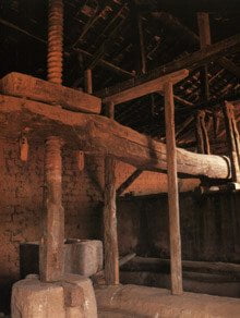 viga lagar bodega