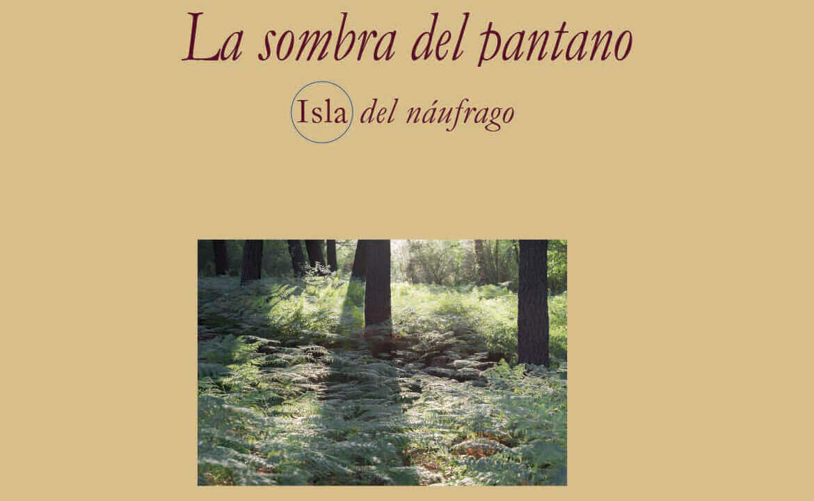 la sombra del pantano