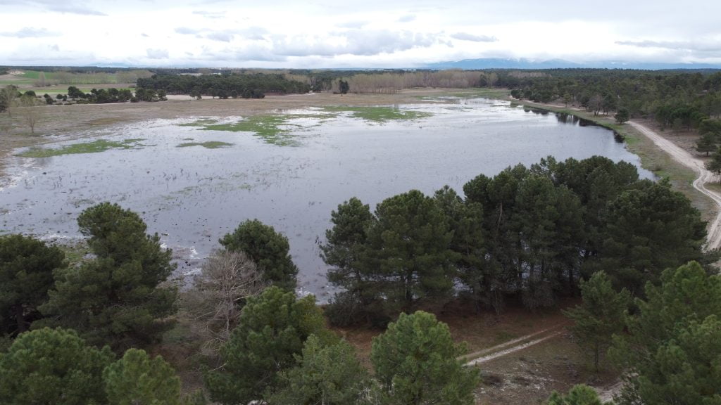 laguna Tenca o de la Nava