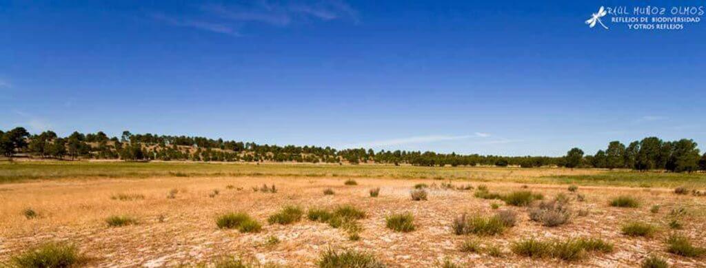 laguna de la nava lastras de cuellar