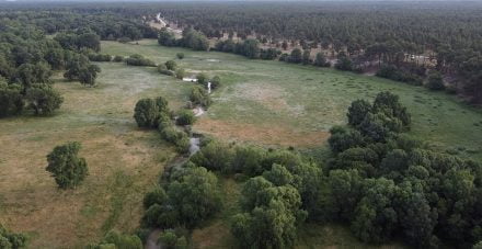 porretales de Lastas de Cuéllar