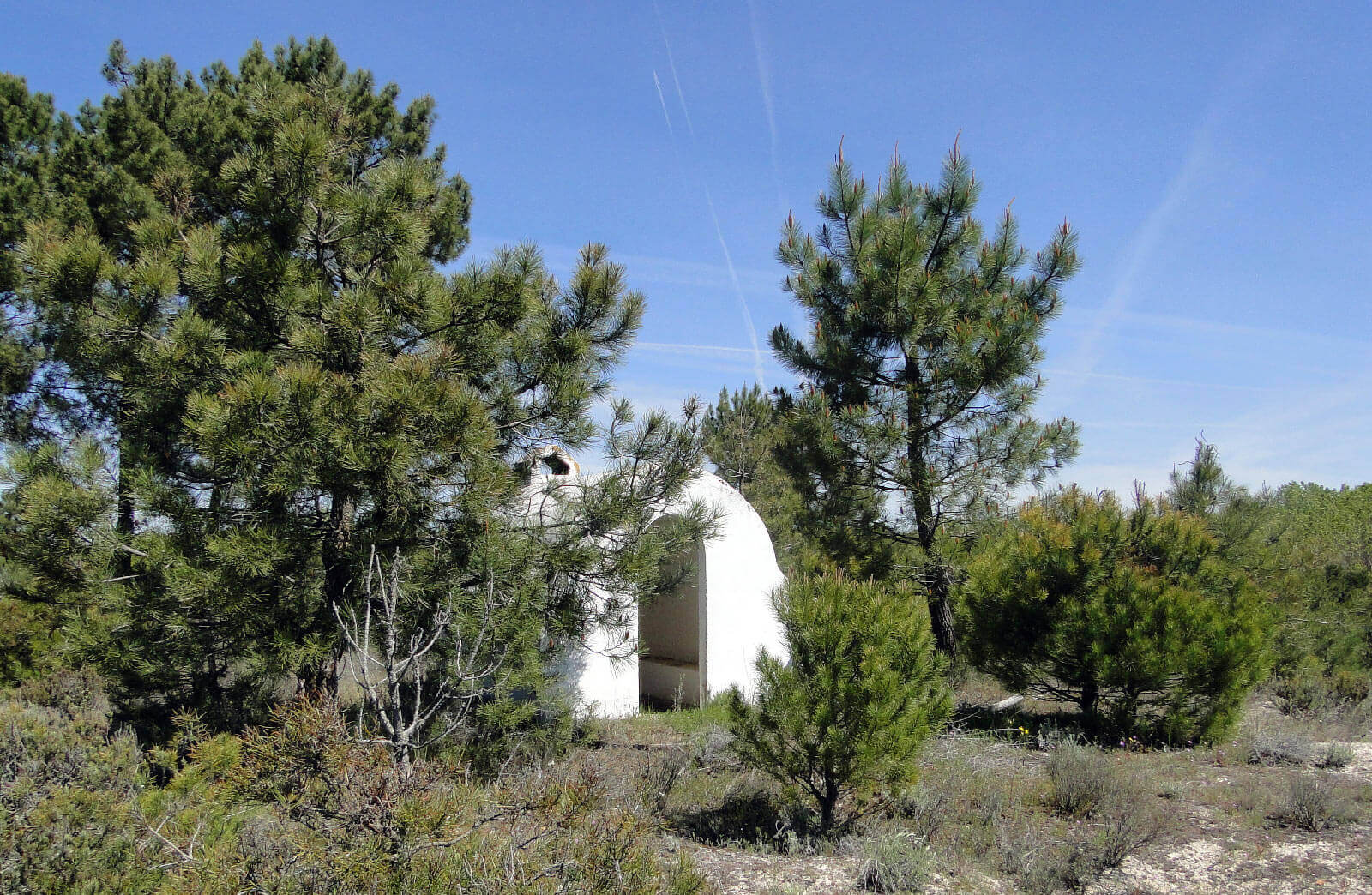 refugio pinar lastras de cuellar